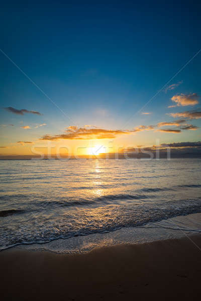 Zonsondergang indian oceaan Madagascar nieuwsgierig park Stockfoto © artush