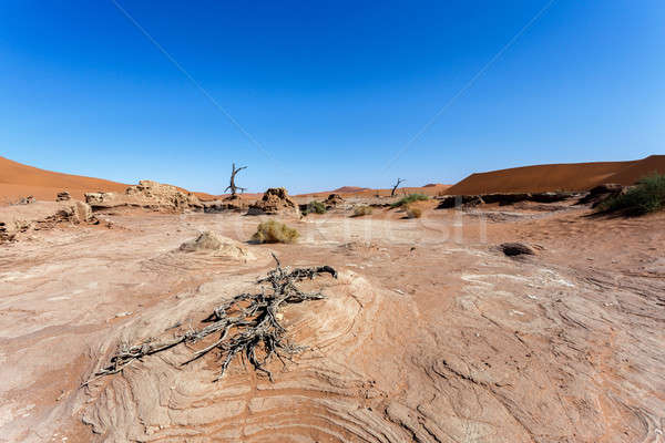 Sossusvlei beautiful landscape of death valley, namibia Stock photo © artush