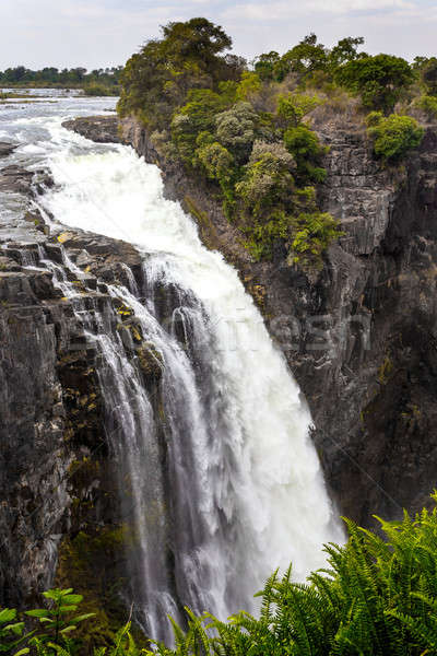 The Victoria falls with mist from water Stock photo © artush