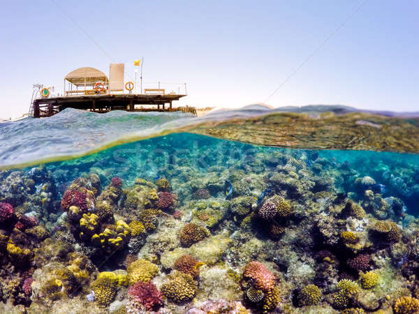 Stock photo: Underwater and surface split view in the tropics sea