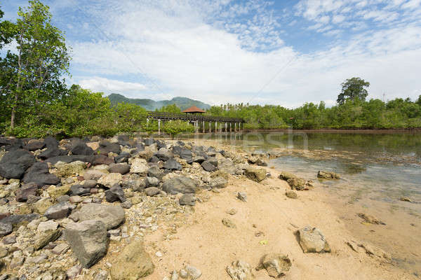 Indonesian landscape with mangrove and view point walkway Stock photo © artush