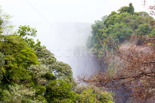 The Victoria falls with mist from water Stock photo © artush