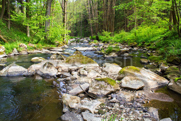 small wild river in Bohemian forest  Stock photo © artush