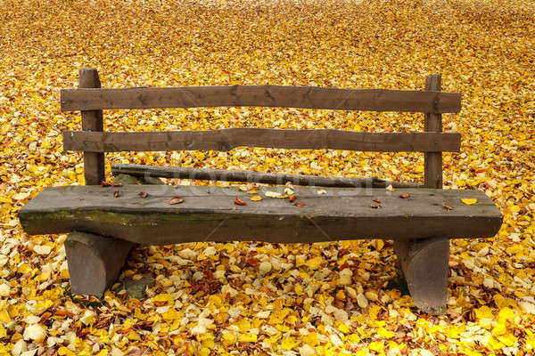 wooden bench in the park Stock photo © artush