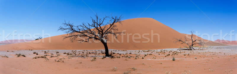 wide panorama Dune 45 in sossusvlei Namibia Stock photo © artush