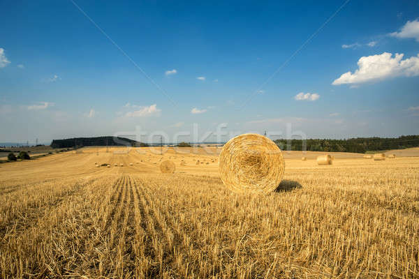 Foto stock: Belo · paisagem · palha · campos · República · Checa · blue · sky