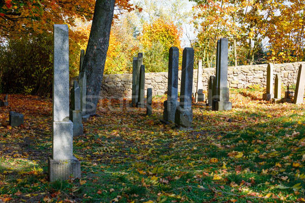 Elfeledett temető őszi színek őszi idény halott kosz Stock fotó © artush