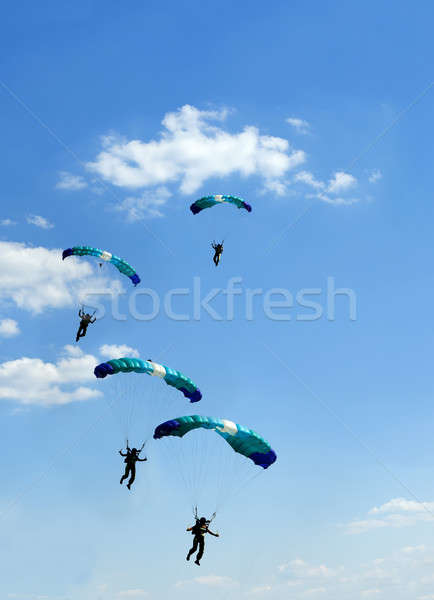 unidentified skydiver on blue sky Stock photo © artush