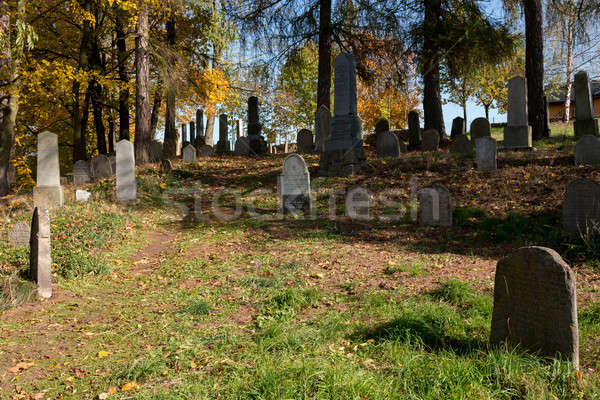 forgotten and unkempt Jewish cemetery with the strangers Stock photo © artush