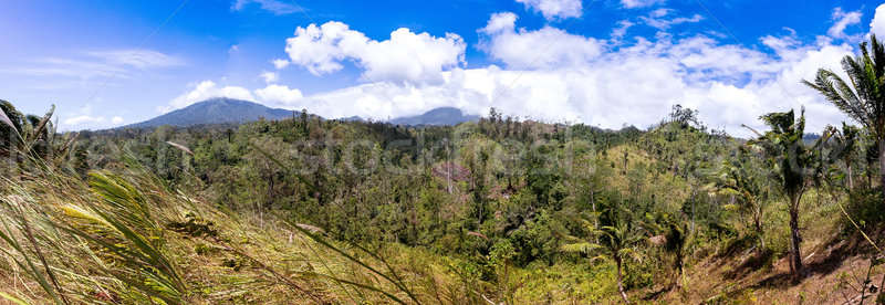 Indonesian landscape with volcano Stock photo © artush