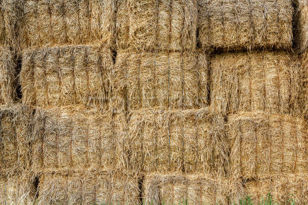 wall surface of the straw bales Stock photo © artush