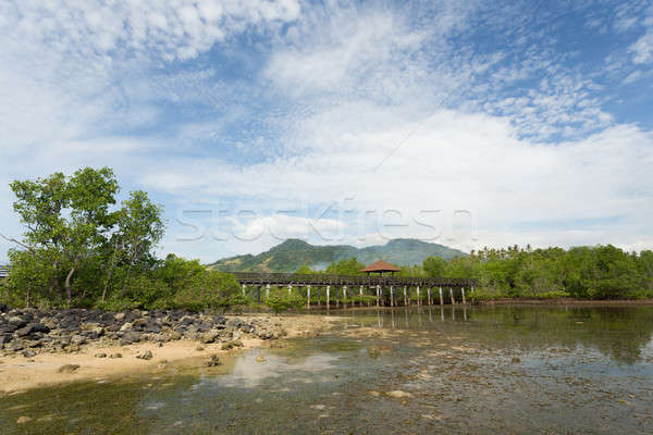 Indonesian landscape with mangrove and view point walkway Stock photo © artush