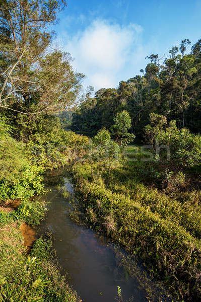 Madagascar beautiful landscape Stock photo © artush