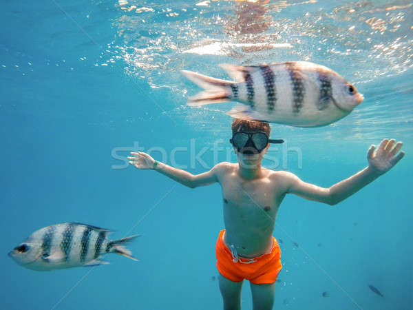 Young boy Snorkel swim in shallow water with coral fish Stock photo © artush
