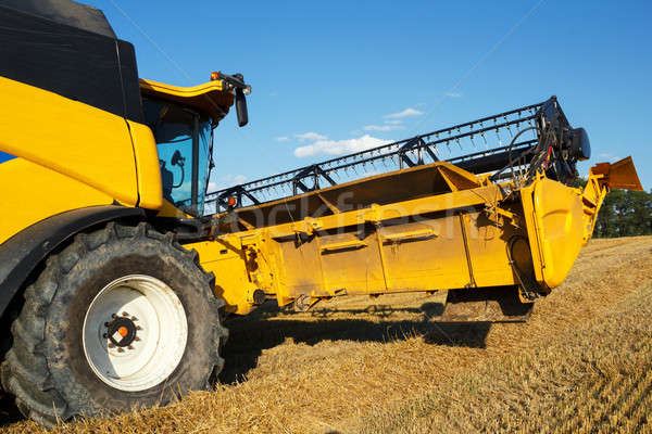 Yellov combine on field harvesting gold wheat Stock photo © artush