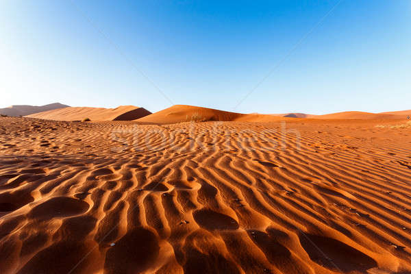 Sand Namibia Landschaft Wind Formen sunrise Stock foto © artush
