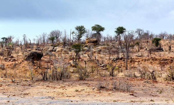 hwankee national park landscape Stock photo © artush