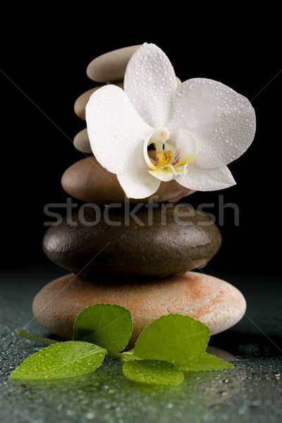 balancing zen stones on black with white flower Stock photo © artush