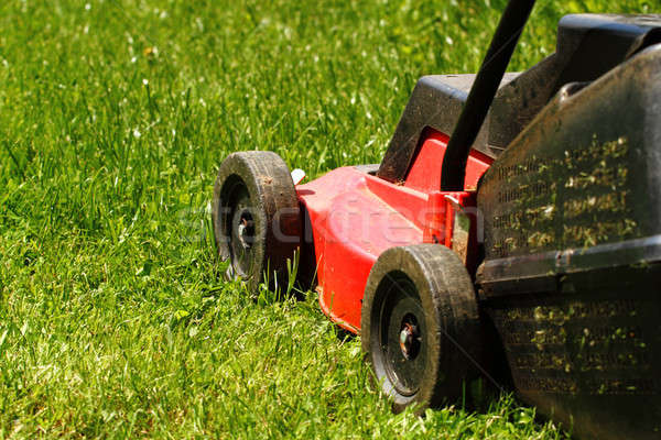 ストックフォト: 芝刈り機 · 草 · 詳細 · 緑の草 · 春