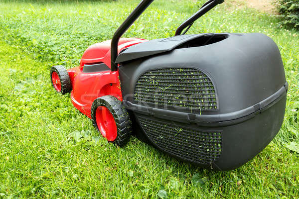 new lawnmower on green grass Stock photo © artush