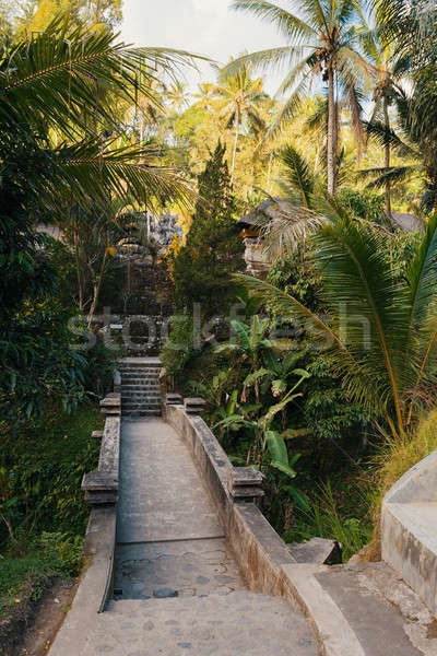 Temple bali Indonésie Asie anciens rivière Photo stock © artush