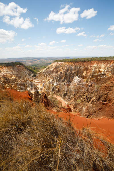 Kanion Madagaskar piękna słynny erozja parku Zdjęcia stock © artush