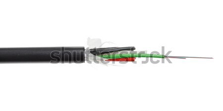 Fiber optic cable detail isolated on white Stock photo © artush
