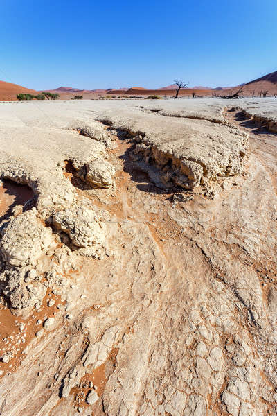 Sossusvlei beautiful landscape of death valley Stock photo © artush