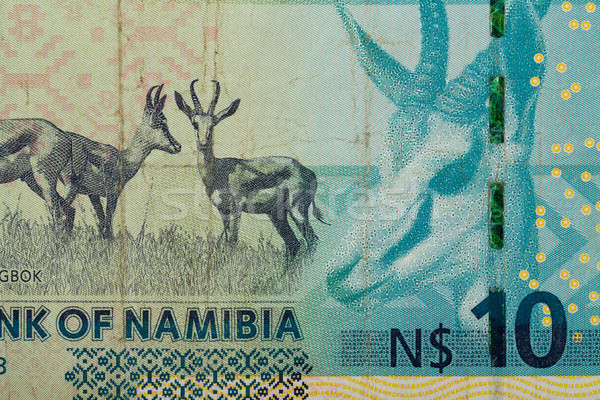 Stock photo: Detail of 10 Namibian dollars banknote