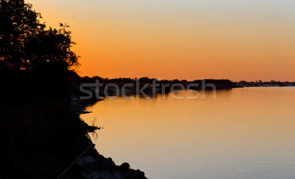 African sunset on Zambezi Stock photo © artush