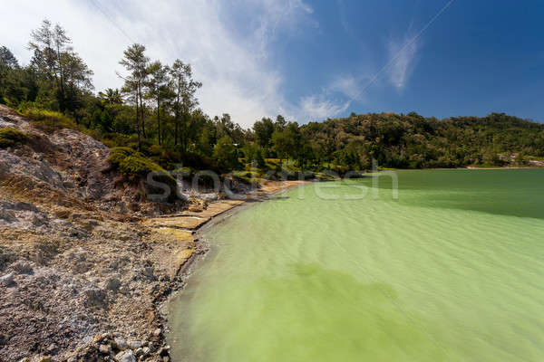 sulphurous lake - danau linow indonesia Stock photo © artush