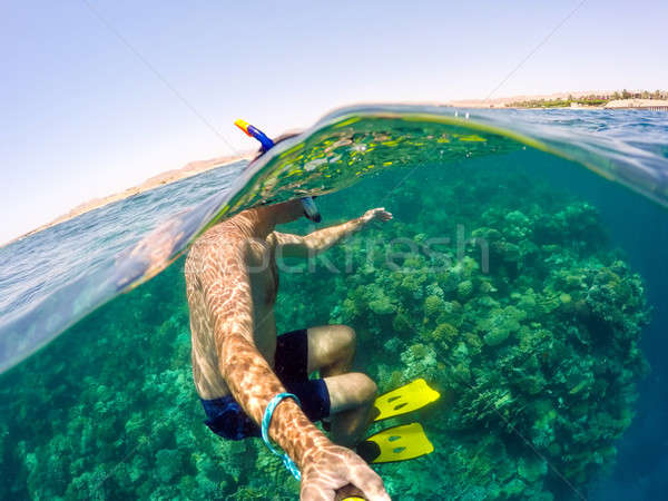 Snorkel swims in shallow water, Red Sea, Egypt Stock photo © artush