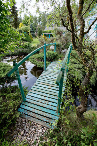 Pequeño verde puente peatonal estanque primavera jardín Foto stock © artush