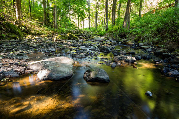 small wild river in Bohemian forest  Stock photo © artush