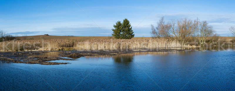 Сток-фото: пруд · зима · Blue · Sky · сельской · сцене · пейзаж · красоту