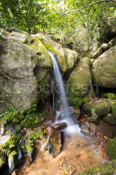 Small waterfall in Masoala national park, Madagascar Stock photo © artush