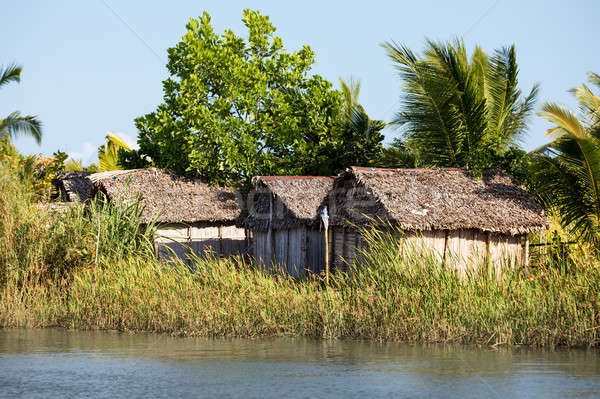 Madagascar traditional rural landscape with hut Stock photo © artush