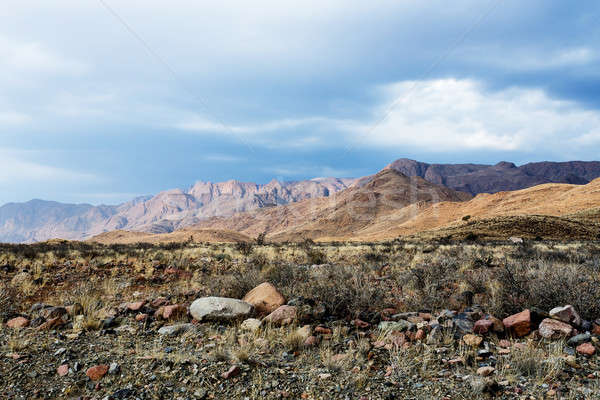 panorama of fantastic Namibia moonscape landscape Stock photo © artush