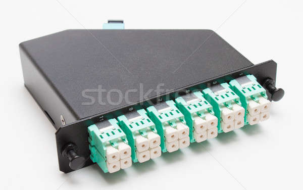 Fiber optic casette with LC connectors Stock photo © artush