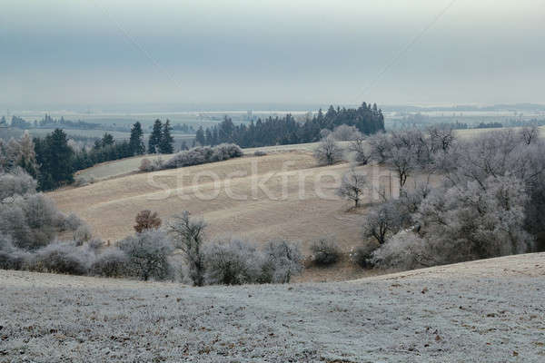 overcast frozen landscape Stock photo © artush