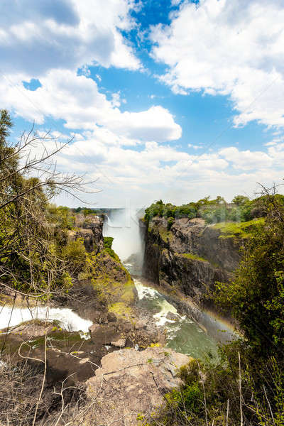 The Victoria falls with mist from water Stock photo © artush