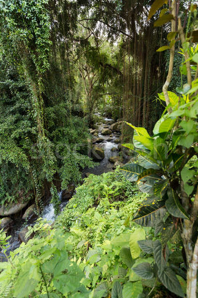 river landscape in temple Gunung Kawi Stock photo © artush