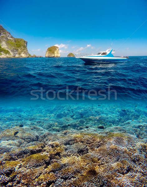 Underwater and surface split view in the tropics Stock photo © artush