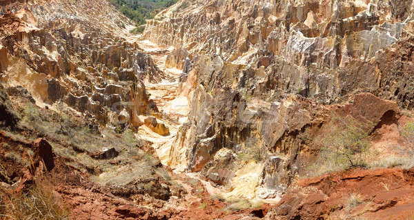 Stock photo: Ankarokaroka canyon in Ankarafantsika, Madagascar