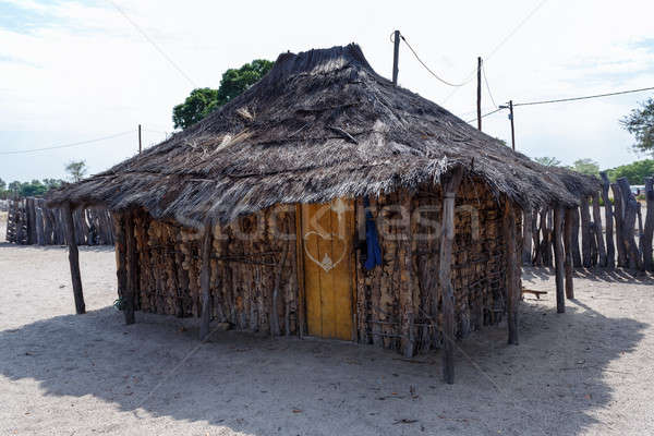 Hagyományos afrikai falu házak fából készült kerítés Stock fotó © artush