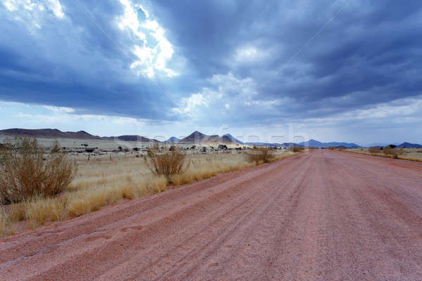 Nieskończony drogowego Namibia krajobraz charakter tle Zdjęcia stock © artush
