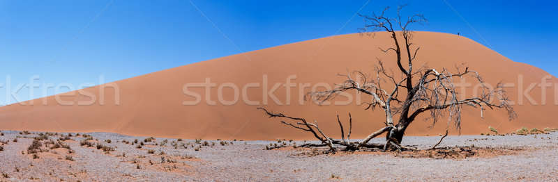 Larg panoramă duna Namibia cel mai bun loc Imagine de stoc © artush