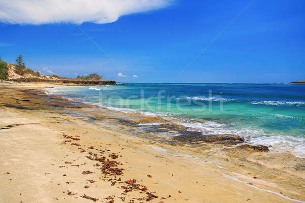 Praia Madagáscar belo região indiano oceano Foto stock © artush