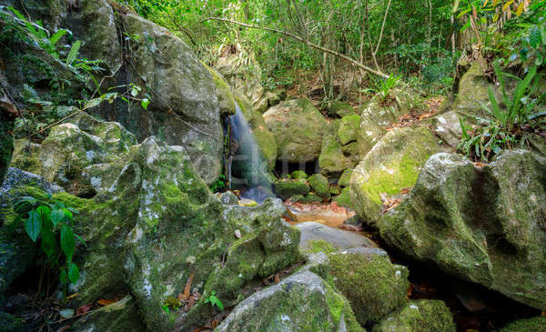 Wodospad wścibski Rainforest wyspa bogate Zdjęcia stock © artush