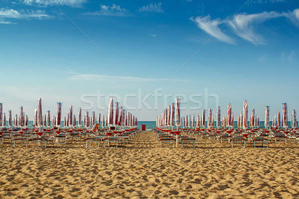 withdrawn umbrellas and sunlongers on the sandy beach Stock photo © artush